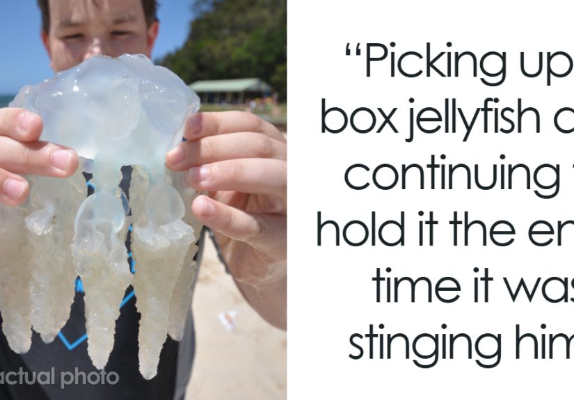 30 Times People Ignored A Simple “Don’t” And Immediately Regretted It