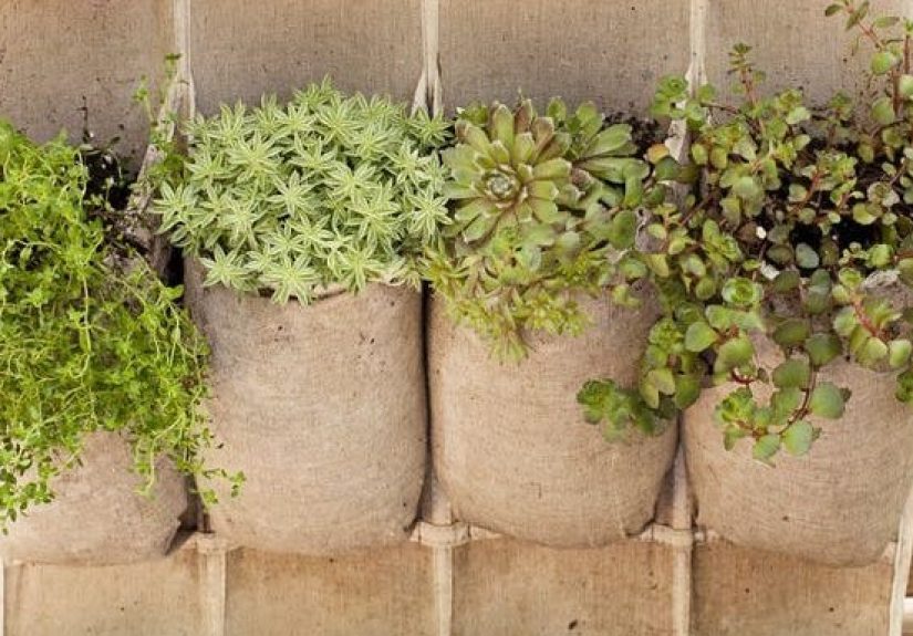 35 Best DIY Vertical Garden Ideas, Systems & Designs of 2024