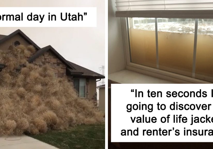 50 Times Nature Made People Go “Well, That Sucks”