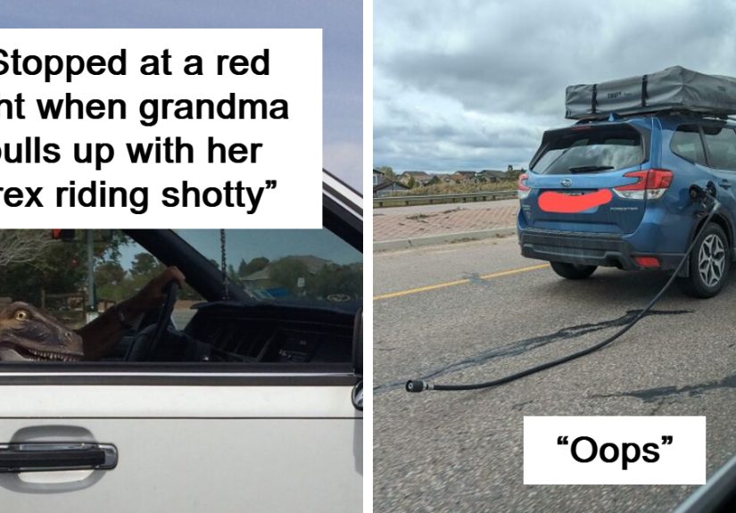70 Times People Saw Something Interesting On The Road And Just Had To Take A Pic (New Pics)