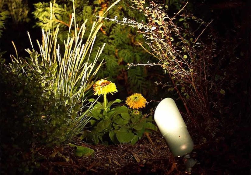DIY Outdoor Lighting Tips for Beginners