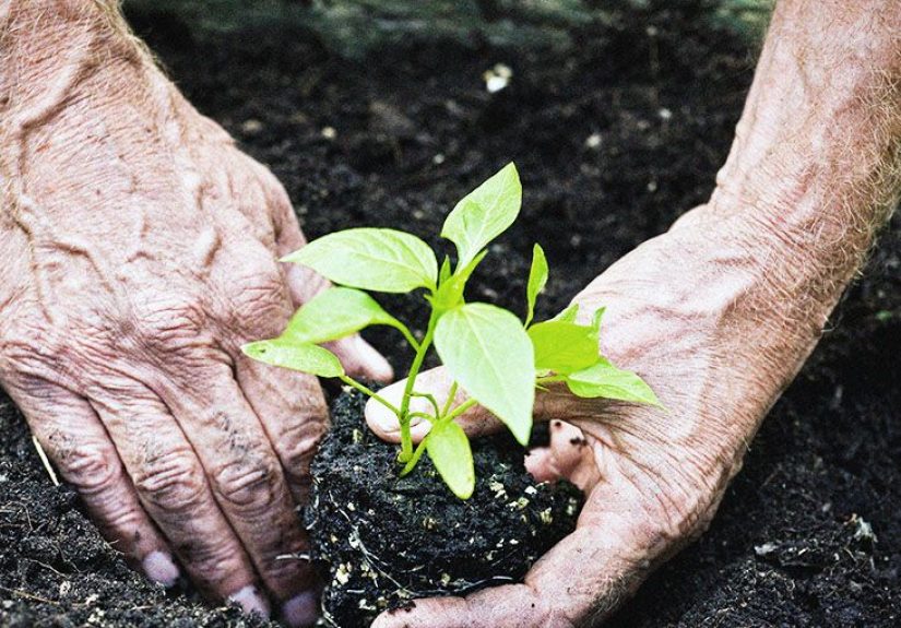 Hand osteoarthritis: Symptoms, risk factors, and management