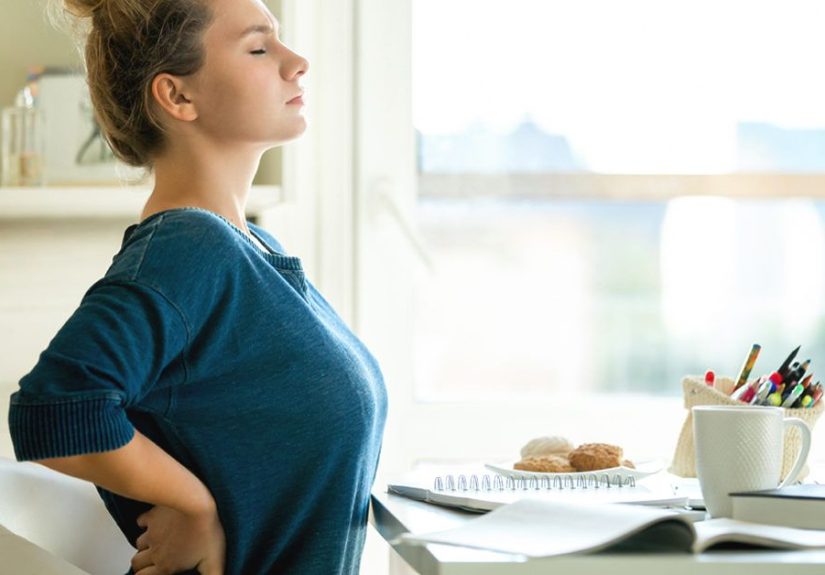 Kidney Blood Vessels Diagram & Function