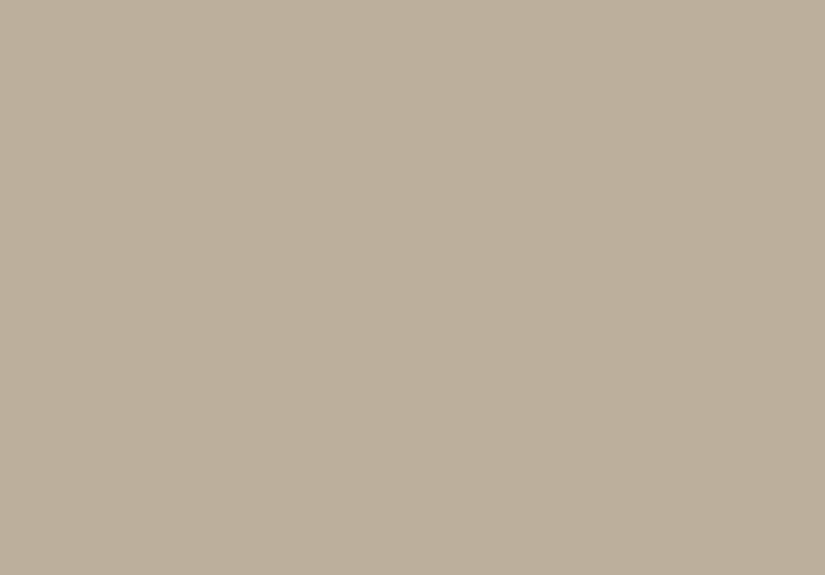 Light Gray No. 17 Paint