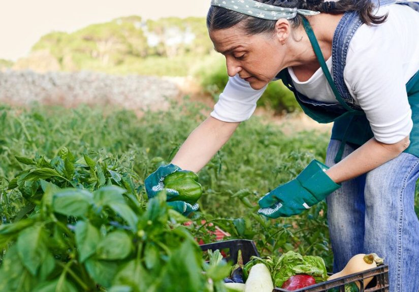 Medicare and Allergy Shots: Coverage, Cost, and More