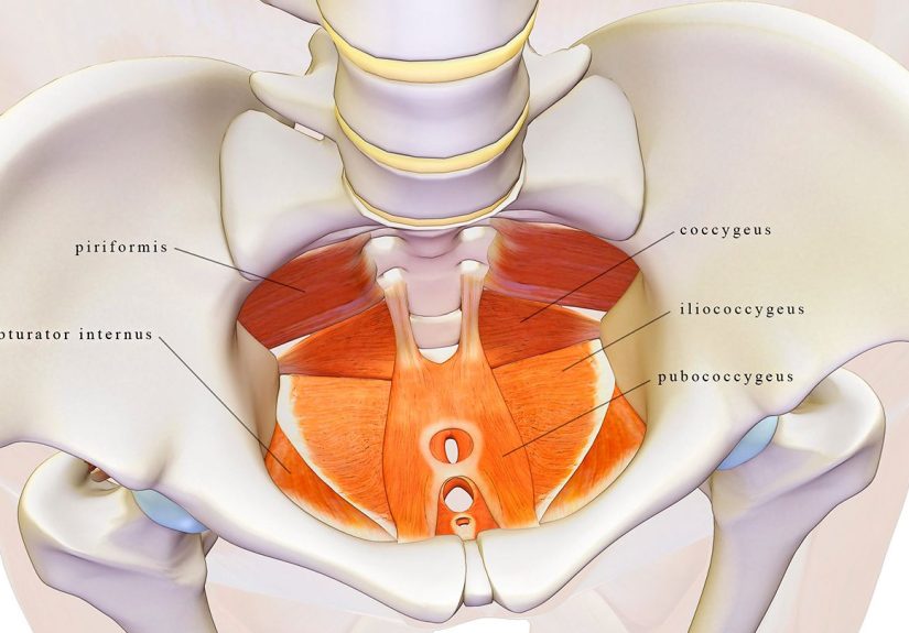 Pelvic Floor Physical Therapy for MS Bladder and Bowel Control