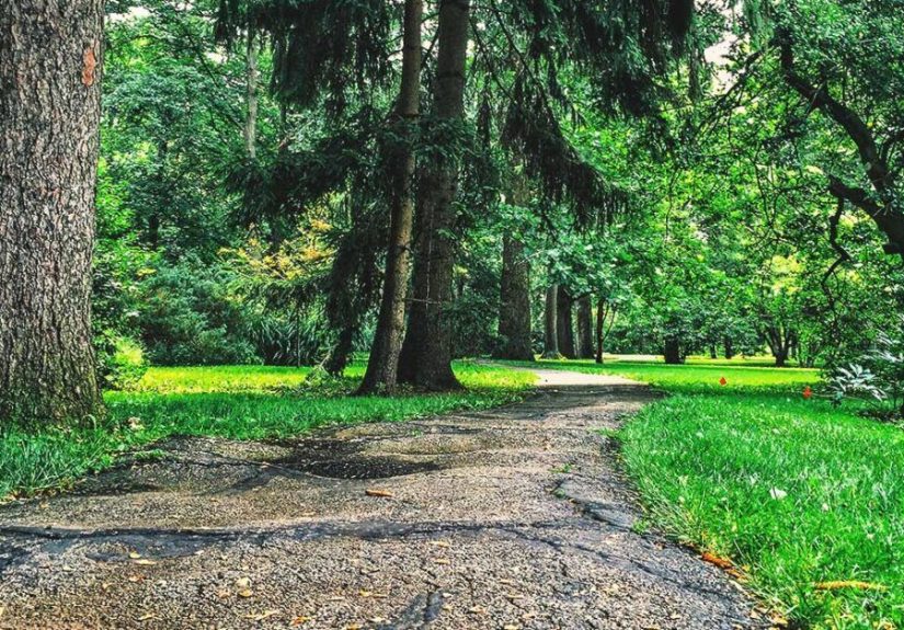 Yes, I’m a 35-Year-Old Living with Rheumatoid Arthritis