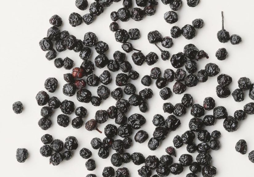 10 Benefits and Uses of Maqui Berry