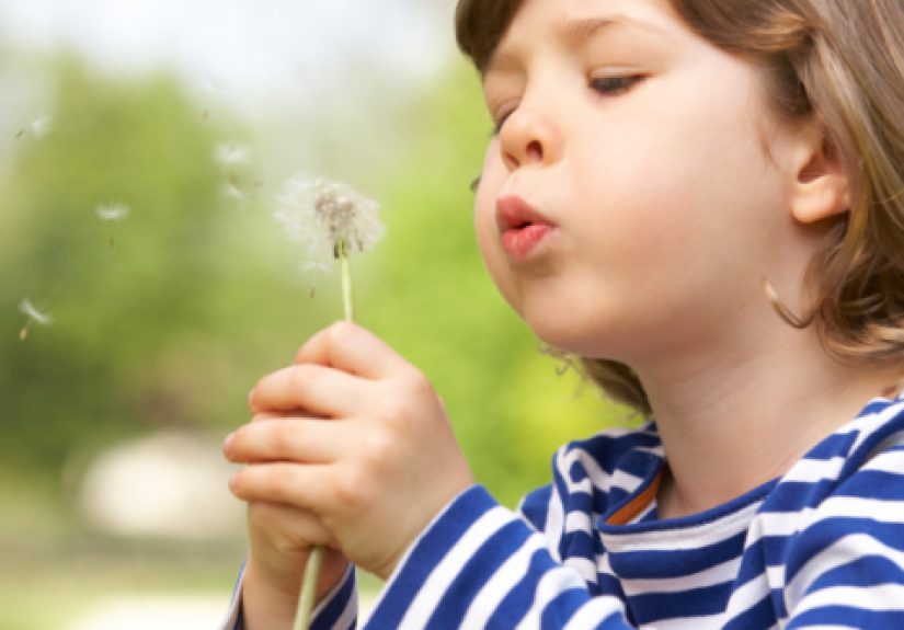 10 Heartwarming Stories Of Last Wishes Being Fulfilled