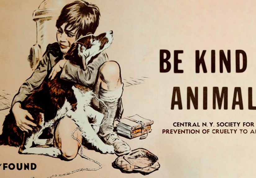 11 Posters From The 1930s, The Age Of Great Depression, That Promote Kindness To Animals