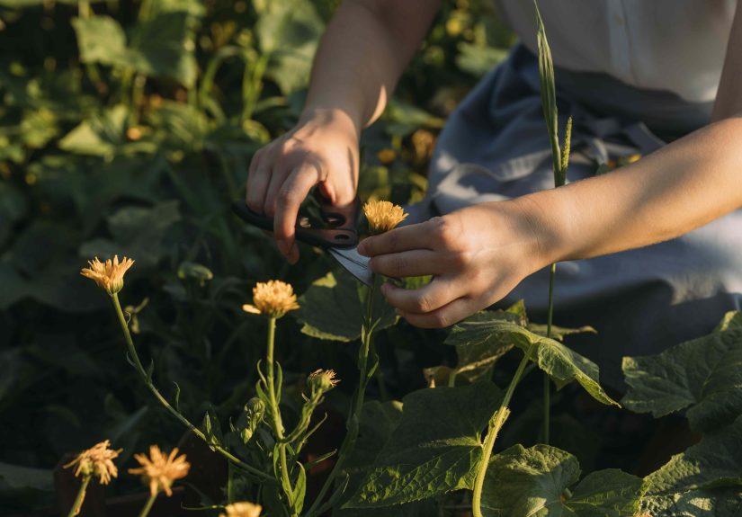 7 Gardening Tasks You Should Only Tackle in the Evening  Here's Why