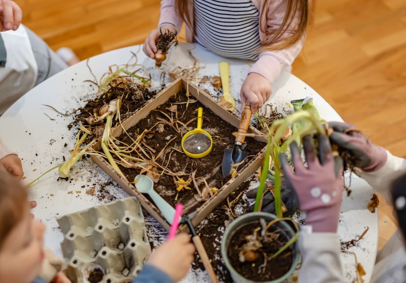 Bringing Research into Early Childhood Classrooms