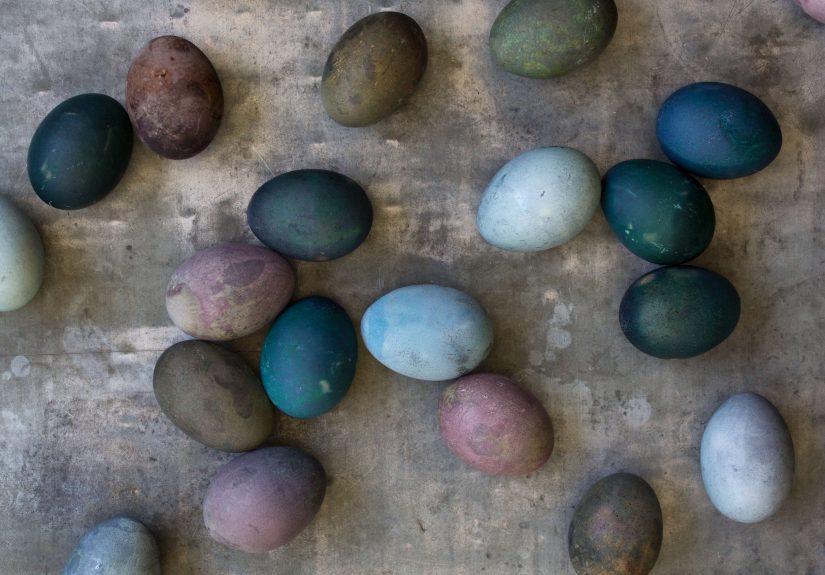 Current Obsessions: Found Art