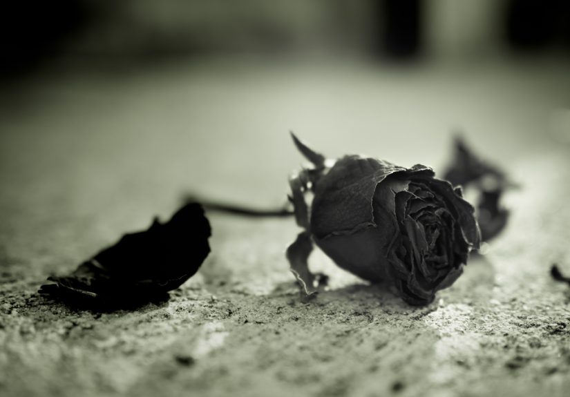 Divorce as a woman surgeon