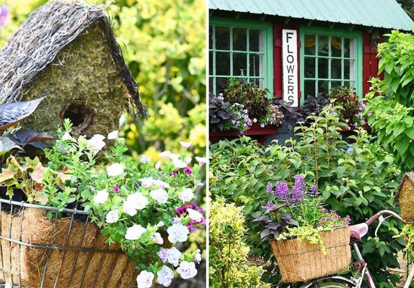 DIY Blooming Bicycle Planter