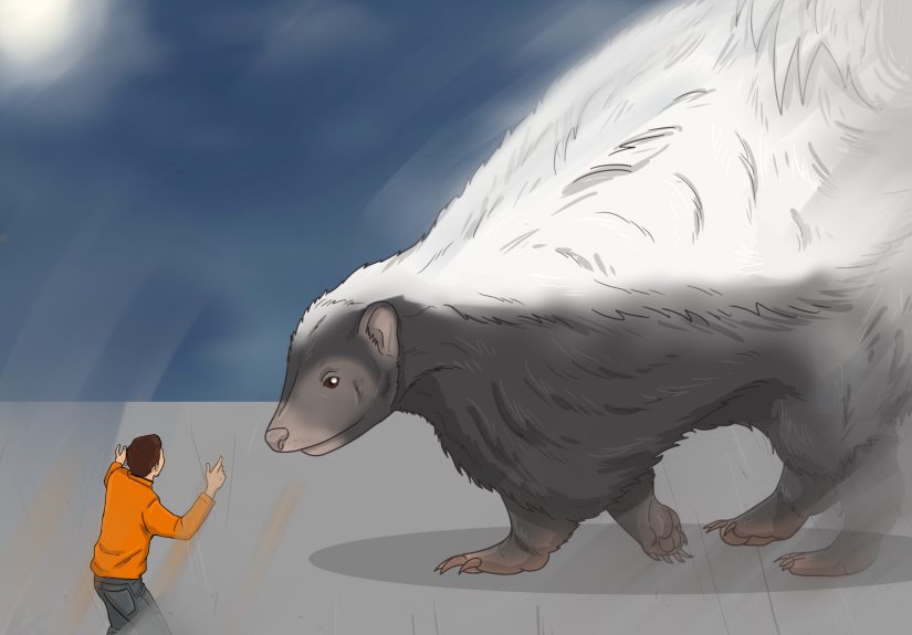 Dreams About Skunks: 16 Spiritual Meanings