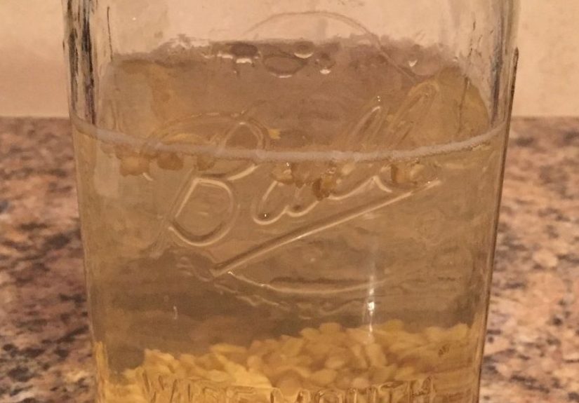 Grow Your Own Sprouts