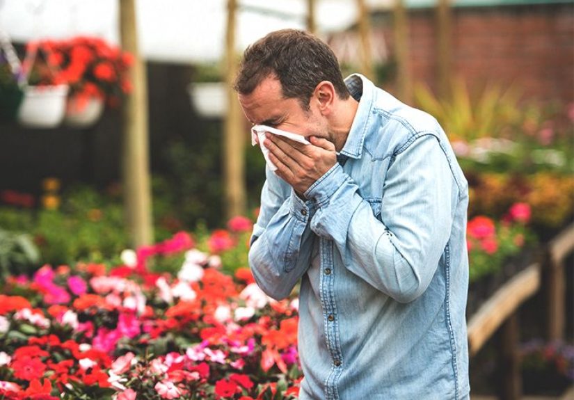 Hay Fever Symptoms: Triggers, Complications, and Treatment