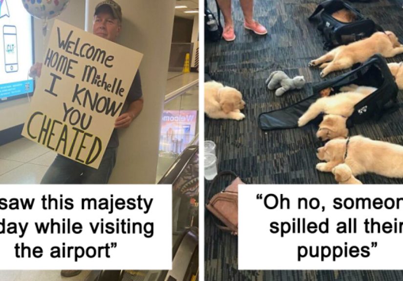 Here’s A List Of 50 Hilarious, Heartwarming And Straight-Up Bizarre Pics Taken In Airports