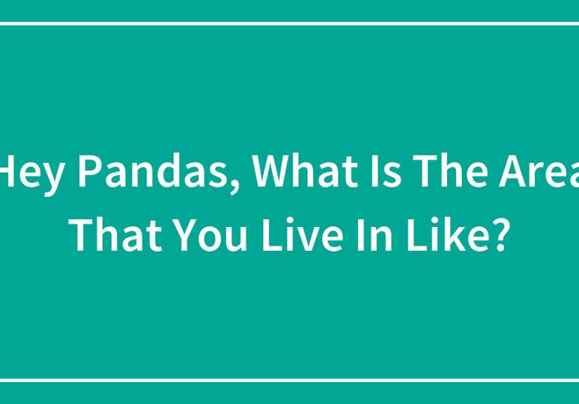 Hey Pandas, What Is The Area That You Live In Like?