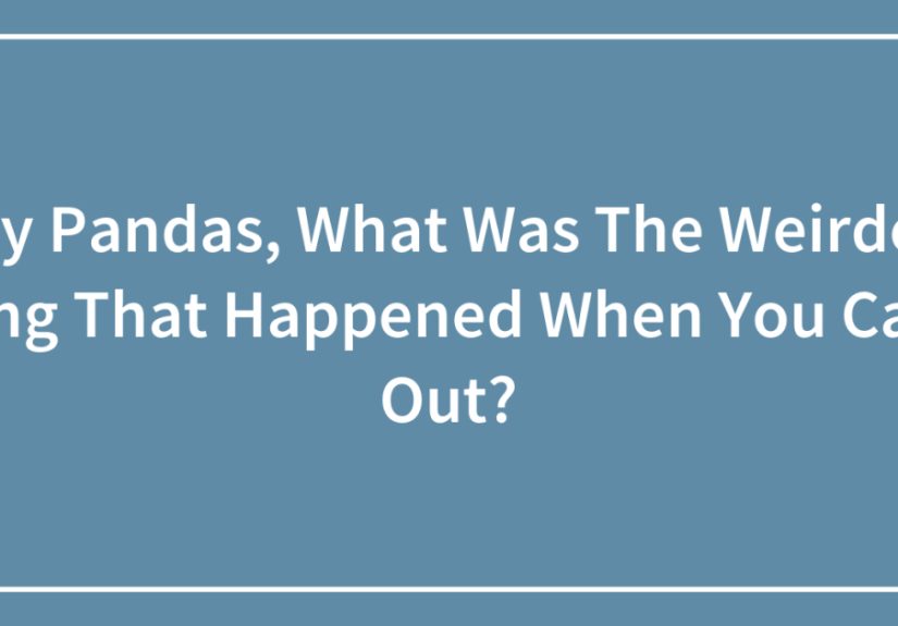 Hey Pandas, What Was The Weirdest Thing That Happened When You Came Out?