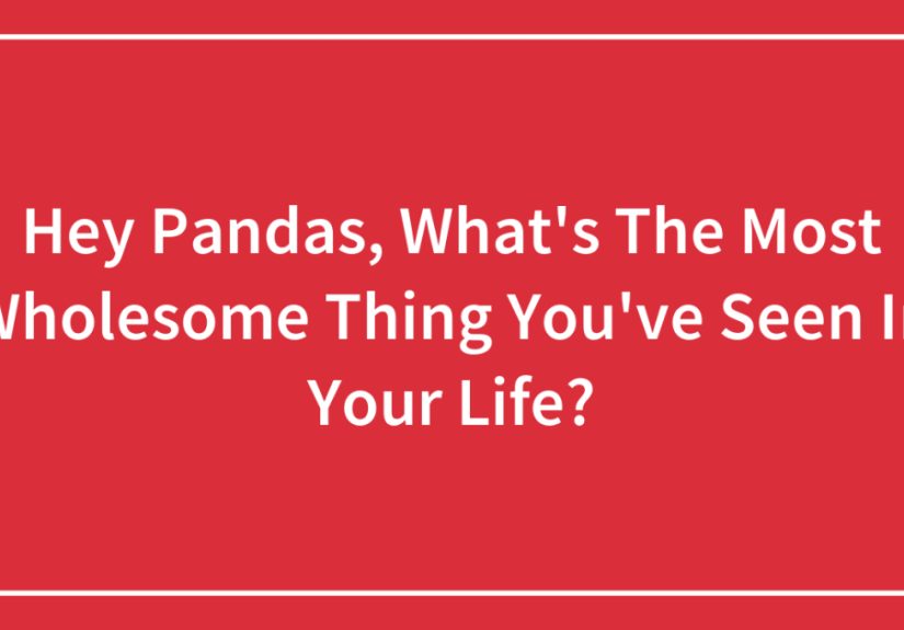 Hey Pandas, What’s The Most Wholesome Thing You’ve Seen In Your Life?