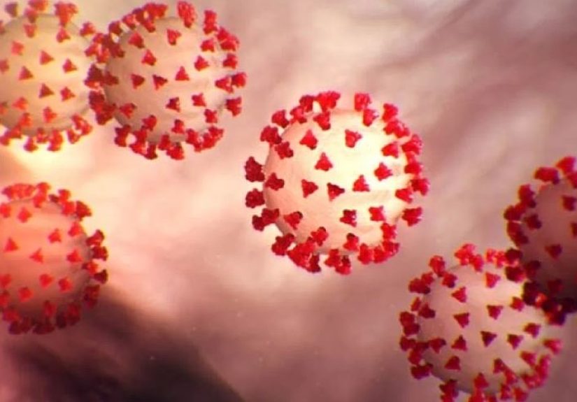 How High Will Unemployment Go Due To The Coronavirus Pandemic?