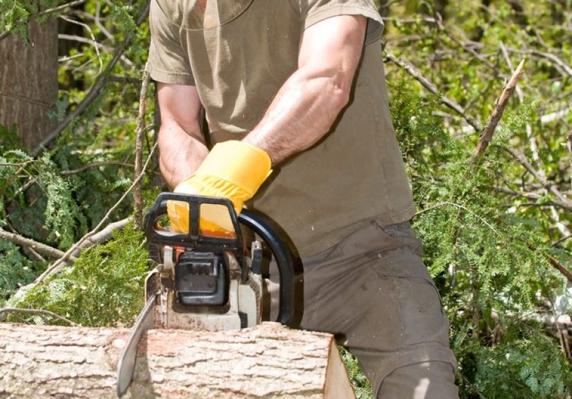 How to Keep a Chainsaw From Getting Pinched