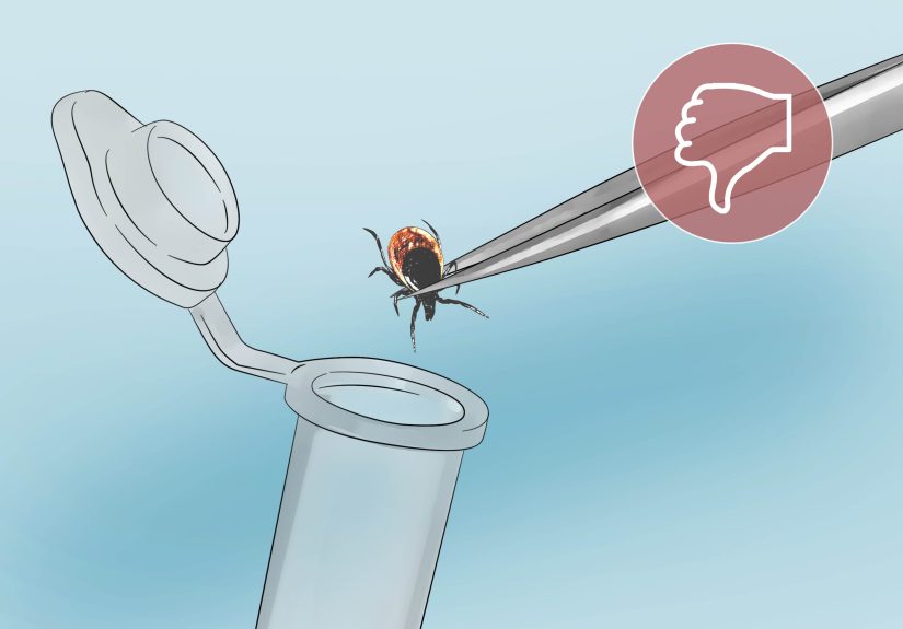 How to Remove an Embedded Tick Head