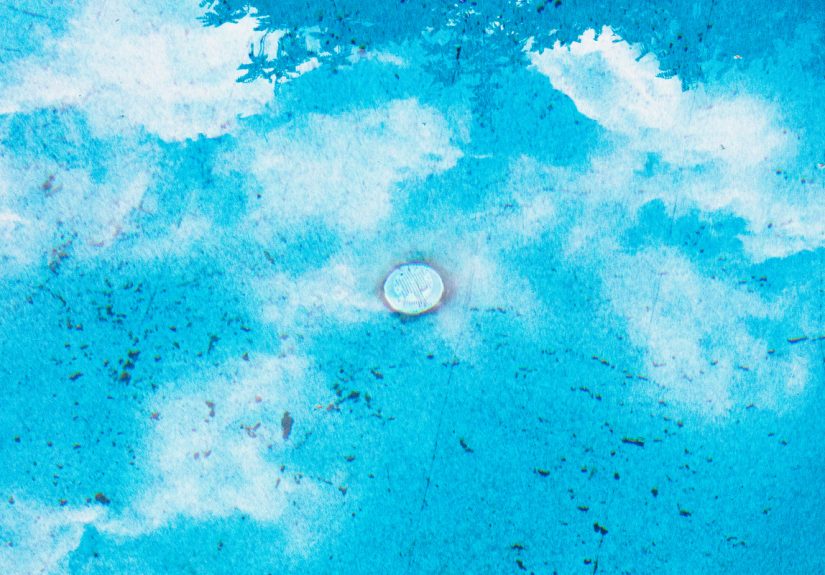 How to Remove Black Algae From Your Pool (and Keep it From Coming Back)