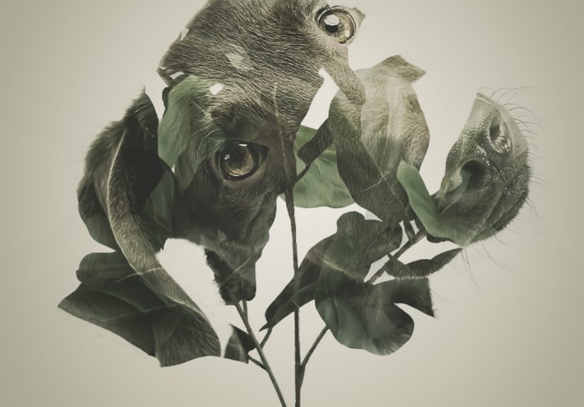 I Created This Artwork By Mixing Different Techniques: Double Exposure And Yuxt Of Layers.