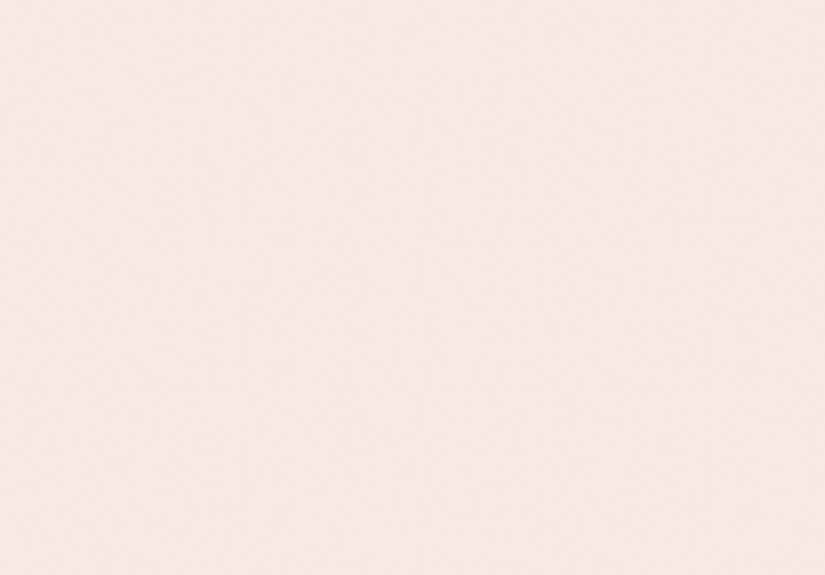 Middleton Pink No. 245 Paint
