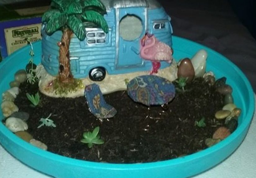 My Mini Succulent Garden I Made as a Gift for a Neighbor.