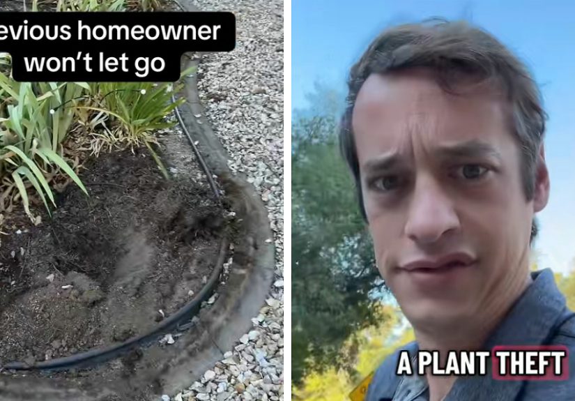 Previous Home Owner Steals Man's Plants And He Goes After And ‘Steals’ It Back