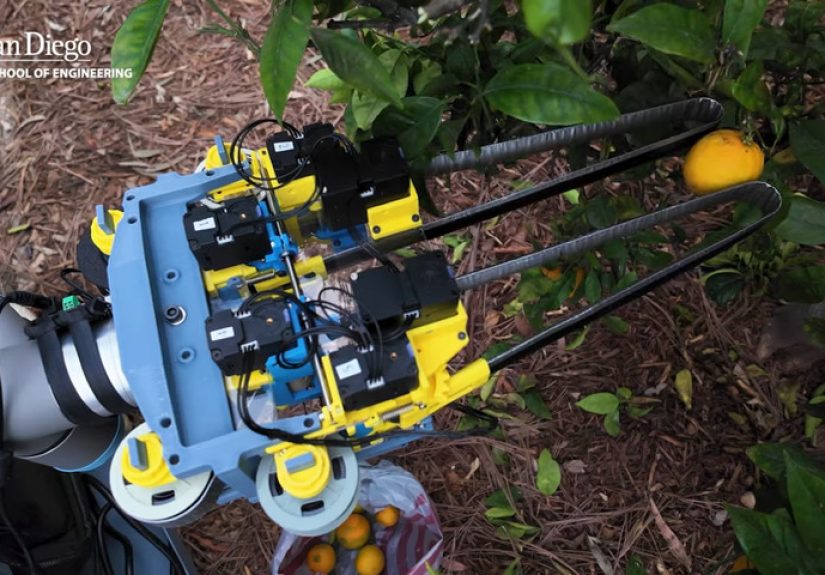 Robot Picks Fruit And Changes Light Bulbs With Measuring Tape