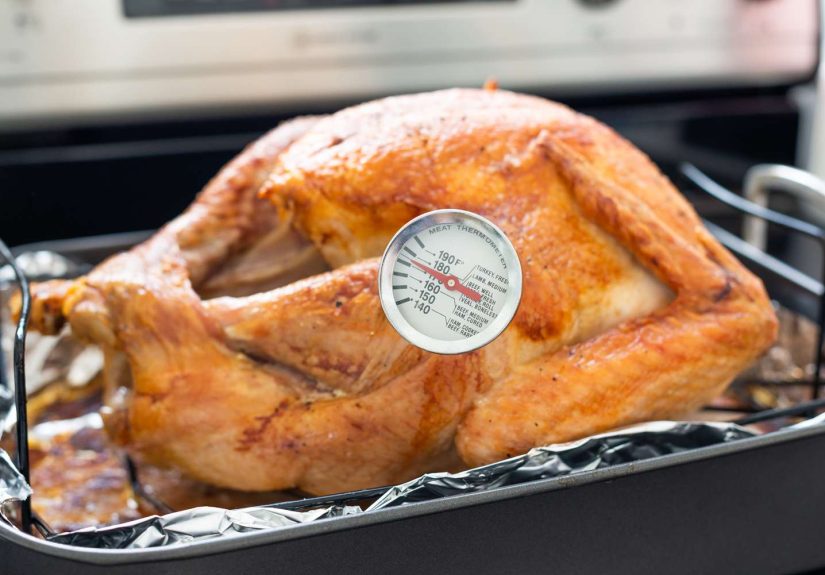 Safe Cooking Temperatures and Salmonella