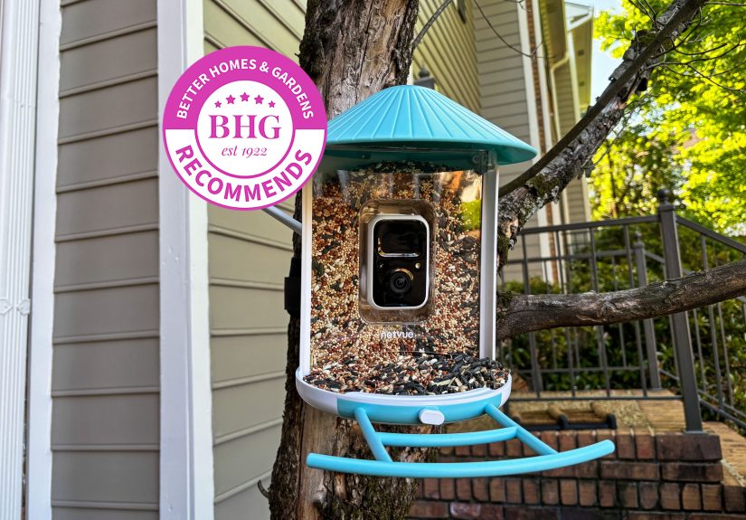 The 5 Best Bird Feeders, Tested by BHG