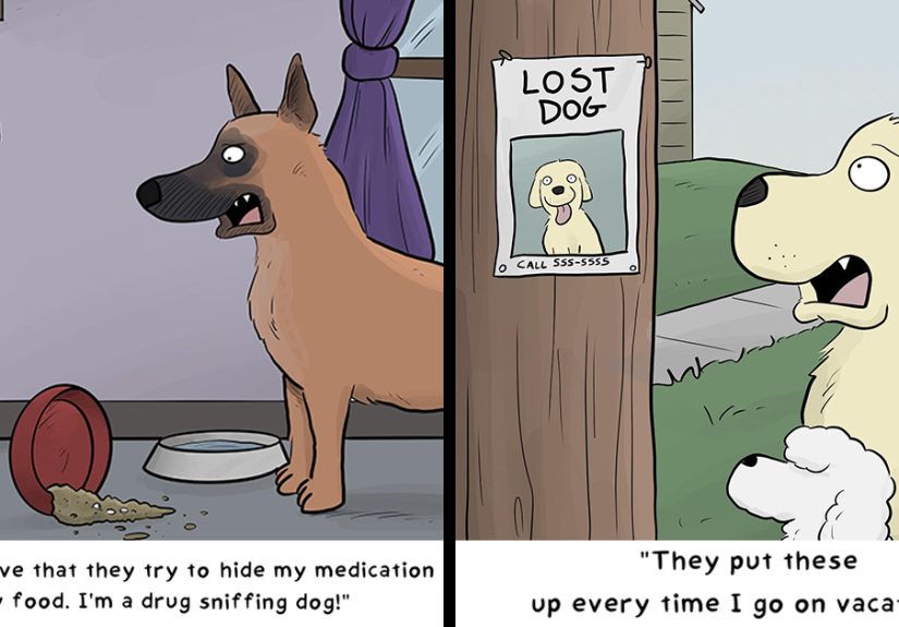 This Artist Has The Talent To Make People Laugh With Single-Panel Jokes (30 New Comics)