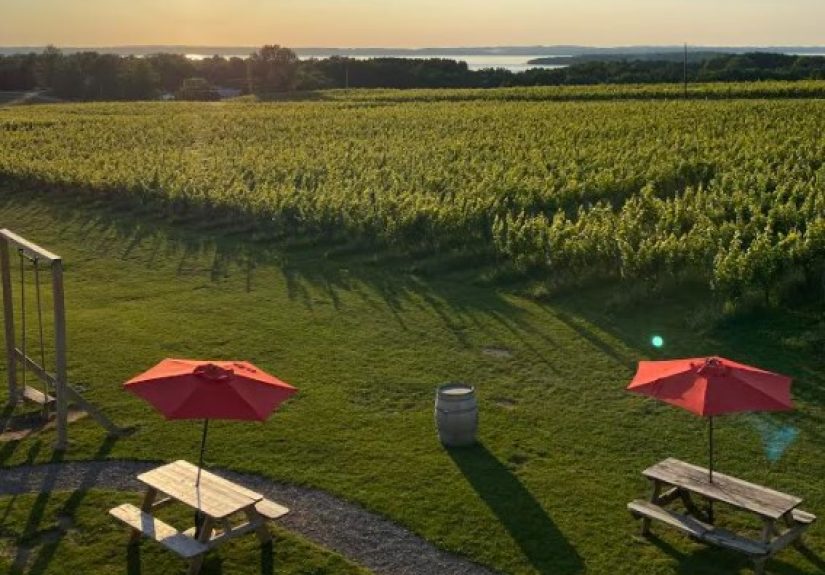 Why Do We Always Focus on the Bad Stuff?