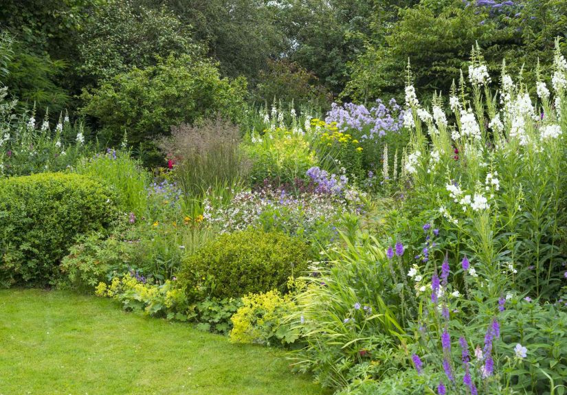 17 Low-Growing Perennials That Are Perfect for the Garden Border