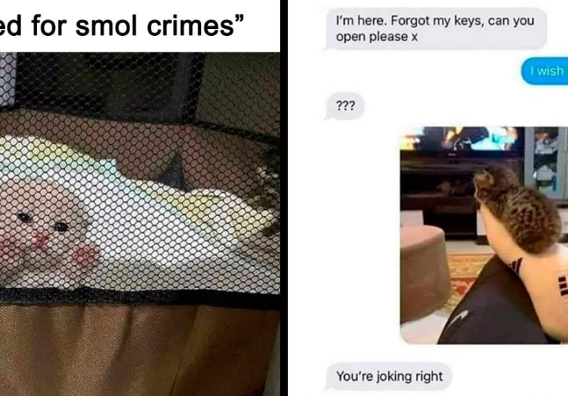 2.1M People Follow This Facebook Page For Its Feel-Good Content And Here Are 40 Of Its Best Posts