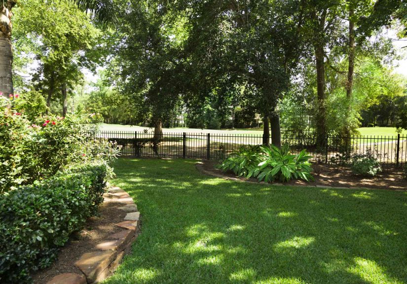 5 Secrets to Growing a Lush Lawn in Shady Areas, Backed by Turf Experts
