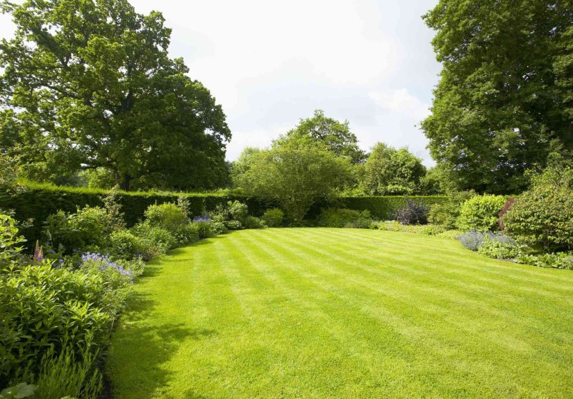 5 Tips for Growing a Lush, Green Lawn This Spring Like a Pro