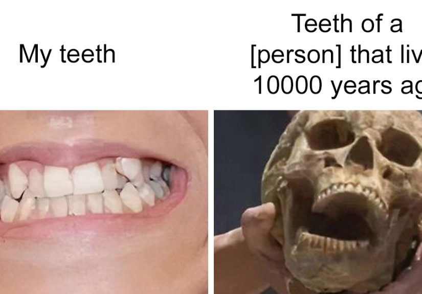 50 Relatable Memes For Anyone Who’s Had Enough Of People (New Pics)