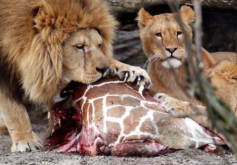 6 Times Family Entertainment Went Horrifically Wrong