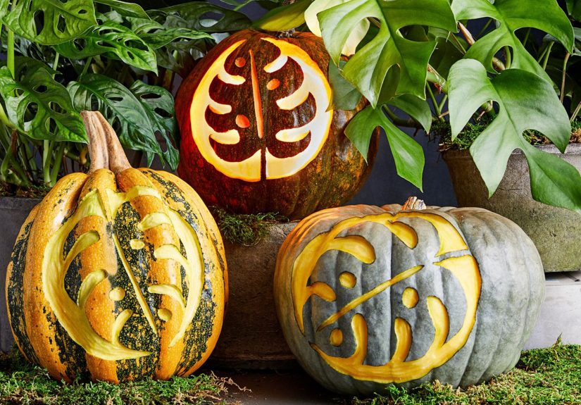 66 Free Pumpkin Carving Stencils to Personalize Your Porch Decor