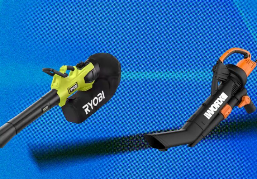 8 Best Leaf Vacuums of 2025, Tested & Reviewed