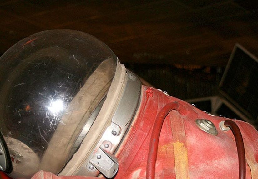 Declassified Photos Show the Soviet Union's Hero Space Dogs in Color