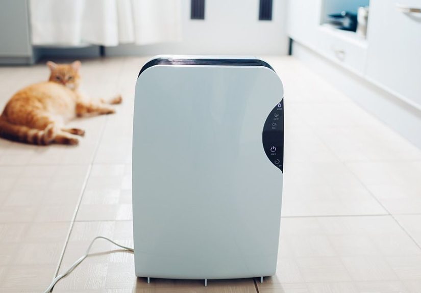 Do Air Purifiers Work? Research, Best Practices, and More