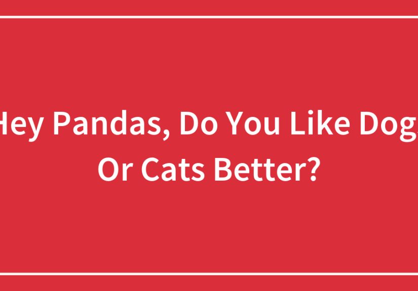 Hey Pandas, Do You Like Dogs Or Cats Better?